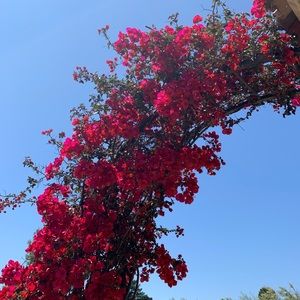 Meet your Posher, Mika